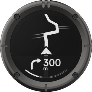 Beeline Moto 2 GPS Navi Gunmetal Grau